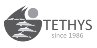 tethys logo