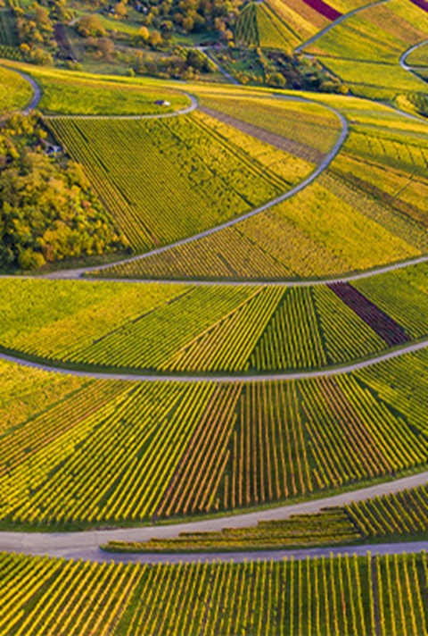 Card - Off Road-259x384